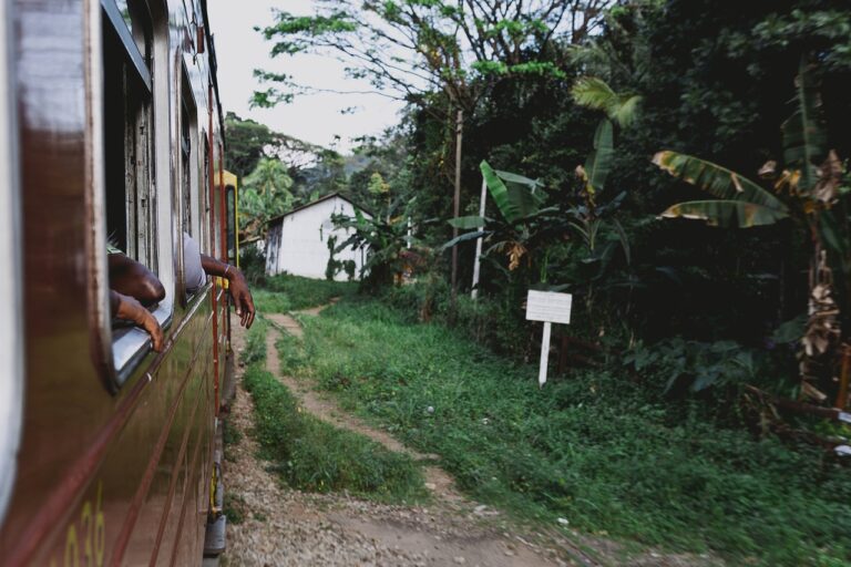 GALLE TO BENTOTA TRAIN IN SRI LANKA