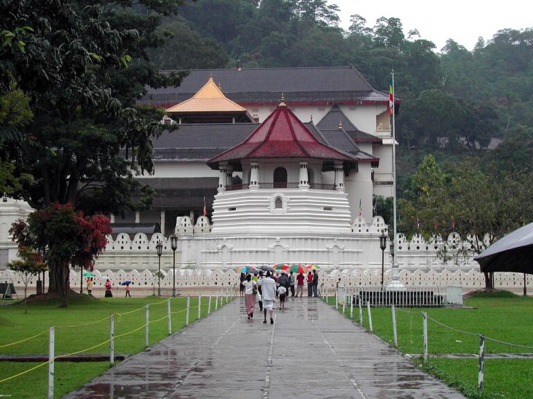 COLOMBO TO KANDY TRAIN SRI LANKA – Everything You Need to Know in 2024